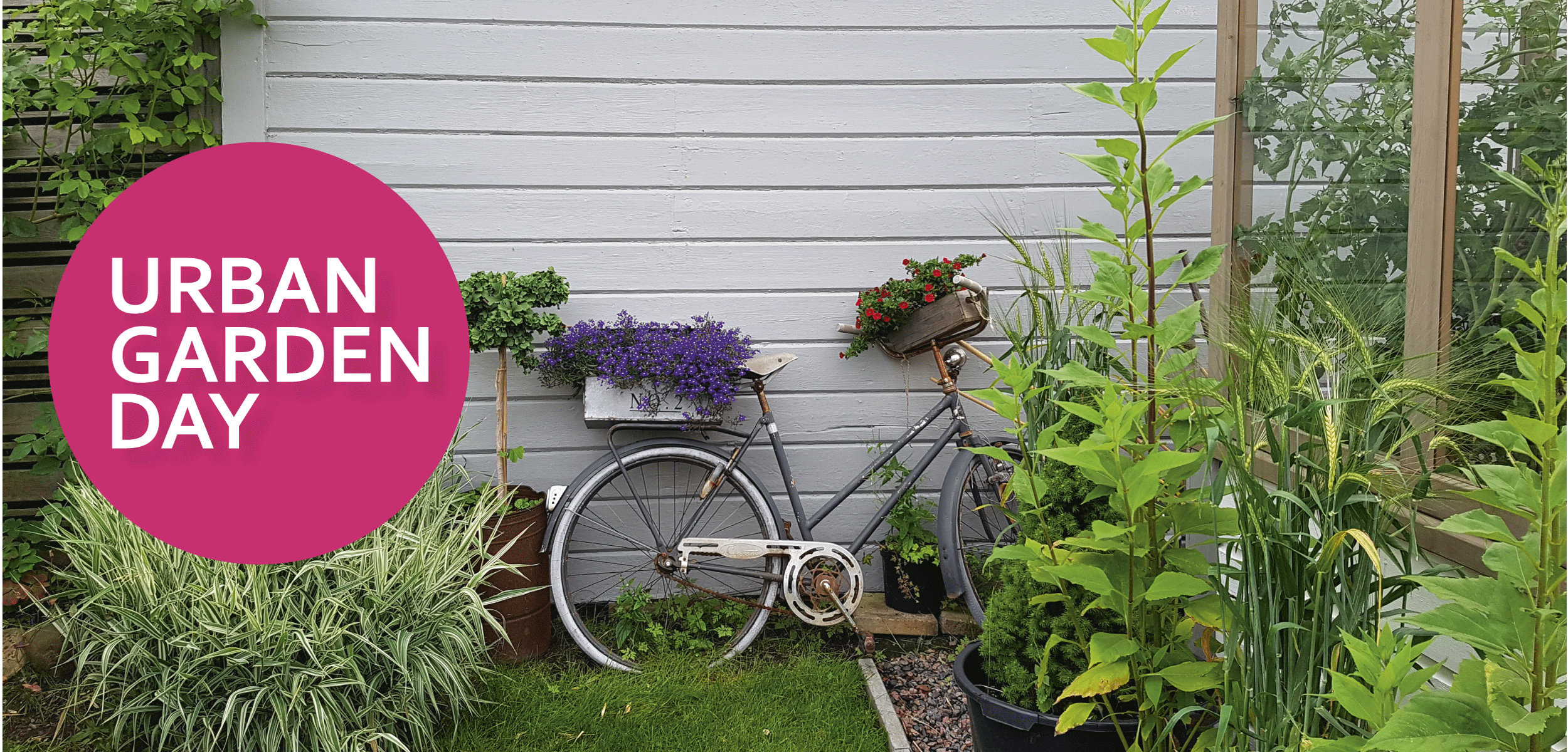 Cykel med blomster vid gråmålad vägg.